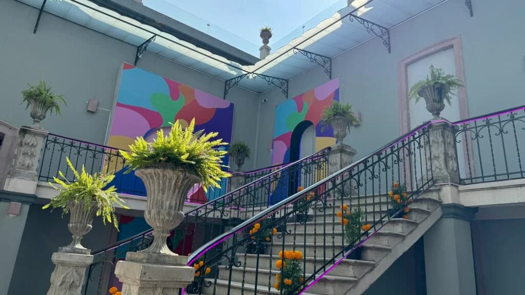 Eufora Gallery Image