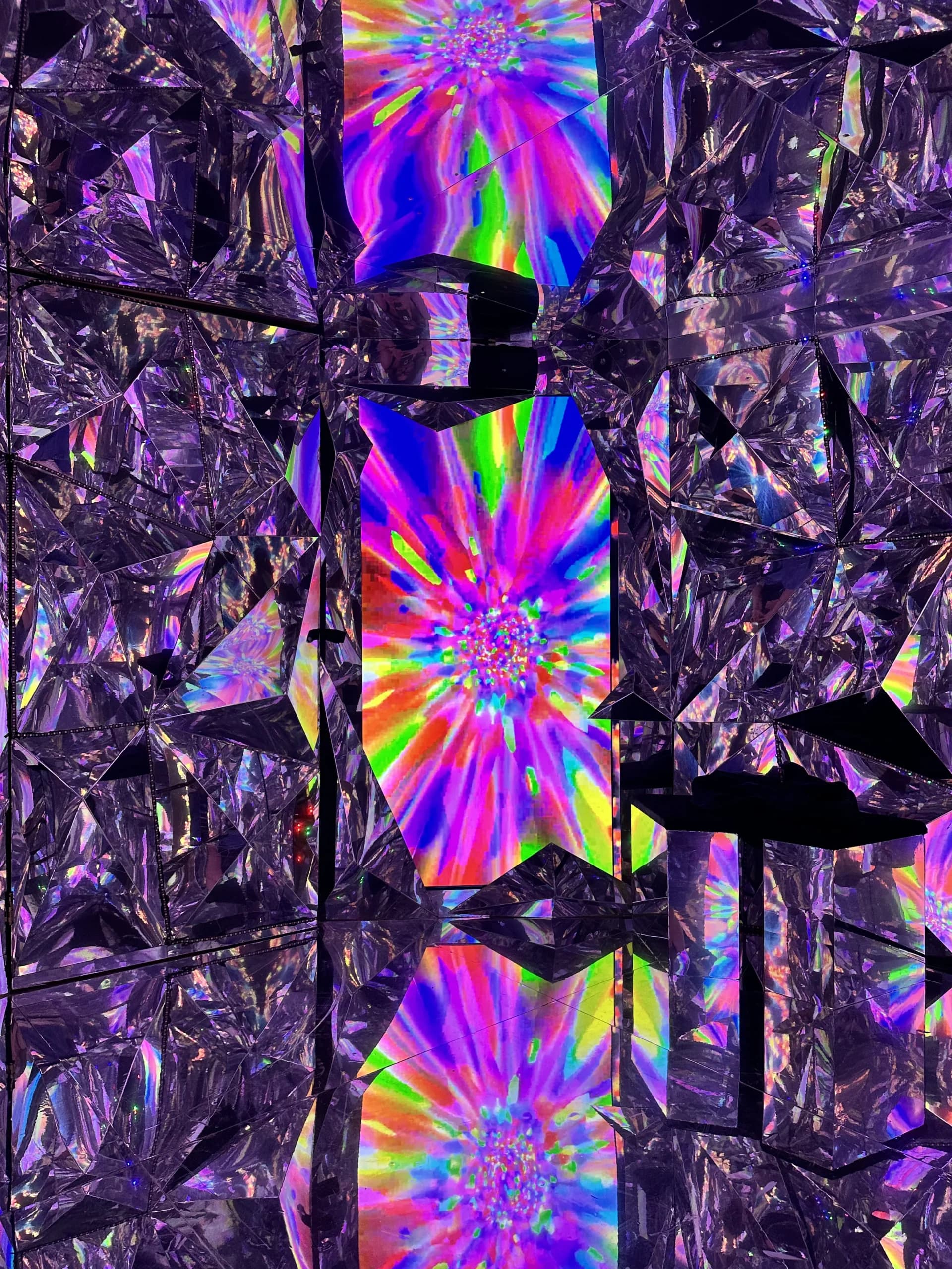 Eufora Gallery Image