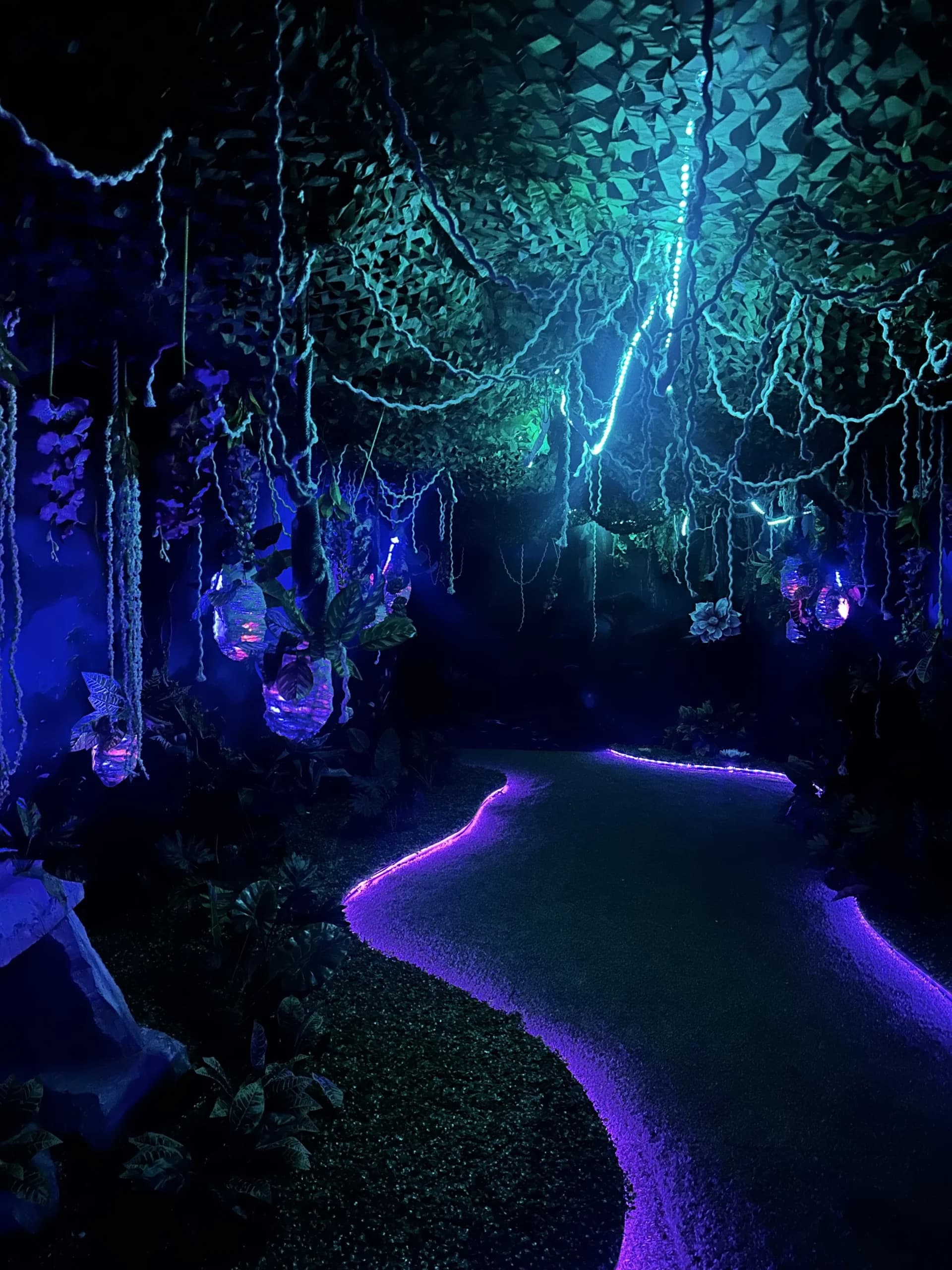 Eufora Gallery Image