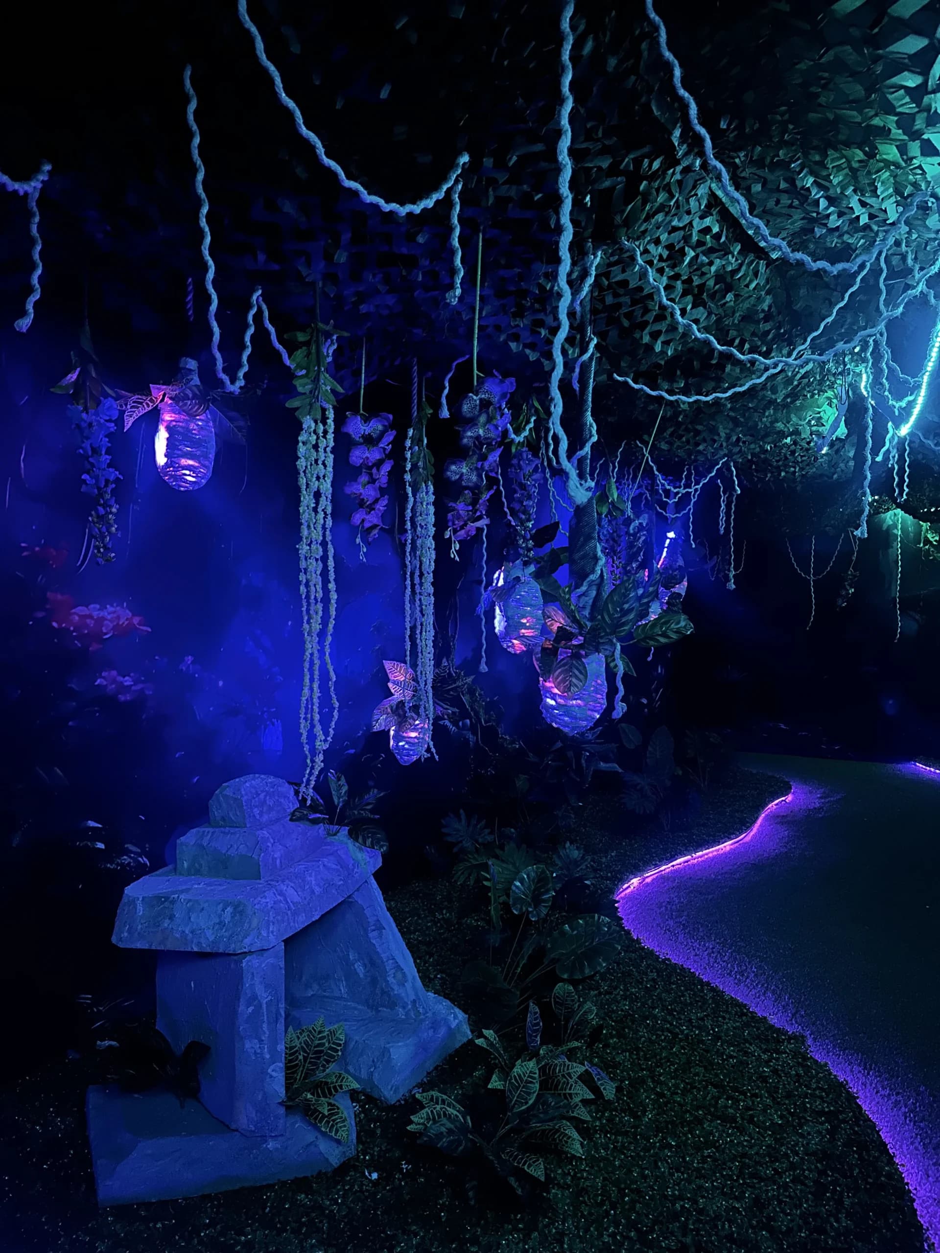 Eufora Gallery Image