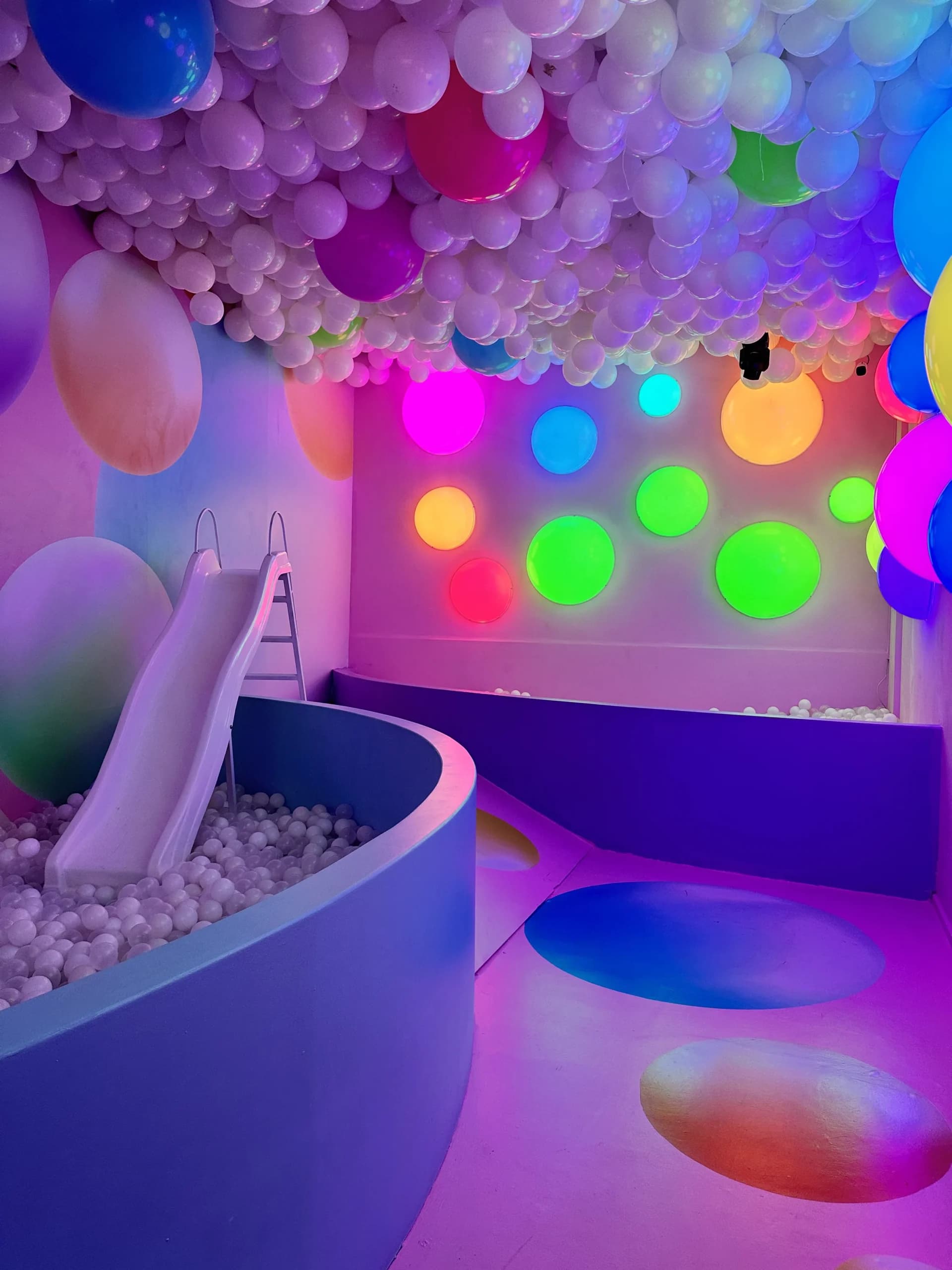 Eufora Gallery Image