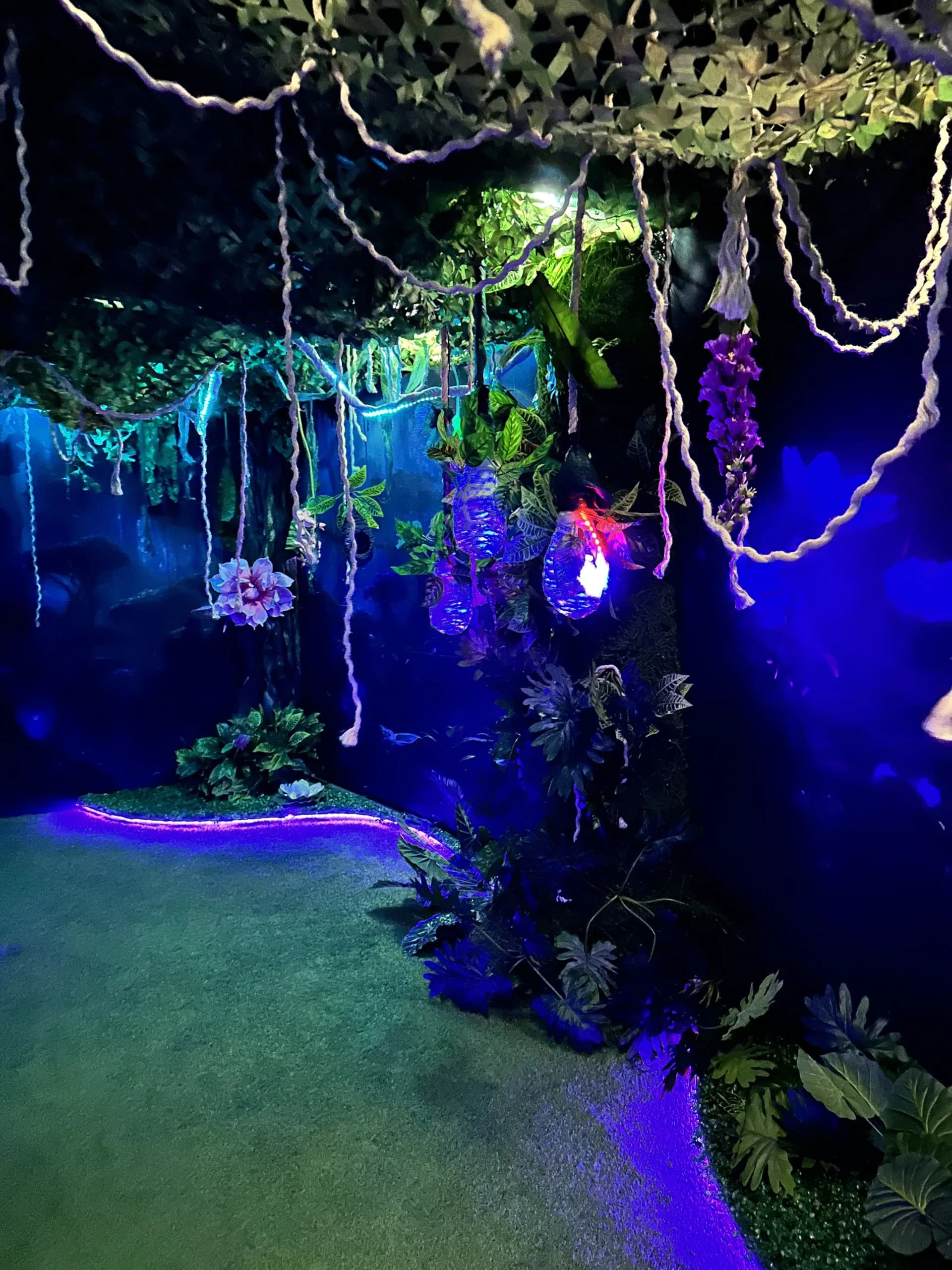 Eufora Gallery Image